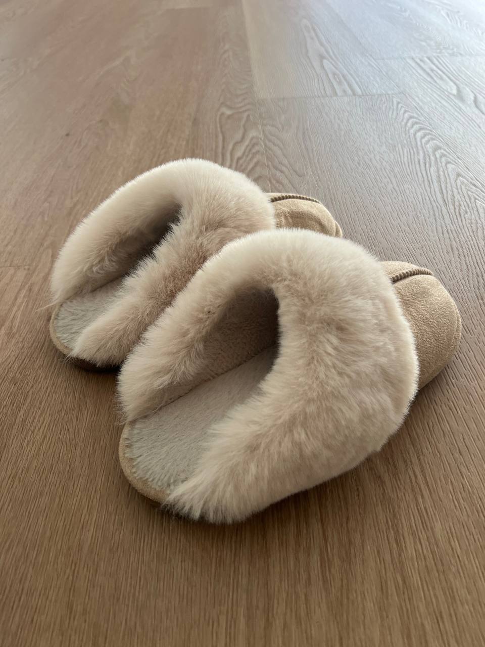 photo_2025-10-28_19-05-19