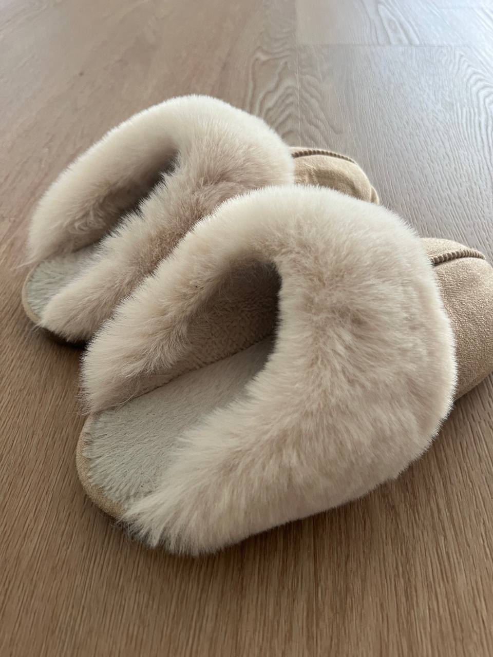 photo_2025-10-28_19-05-21