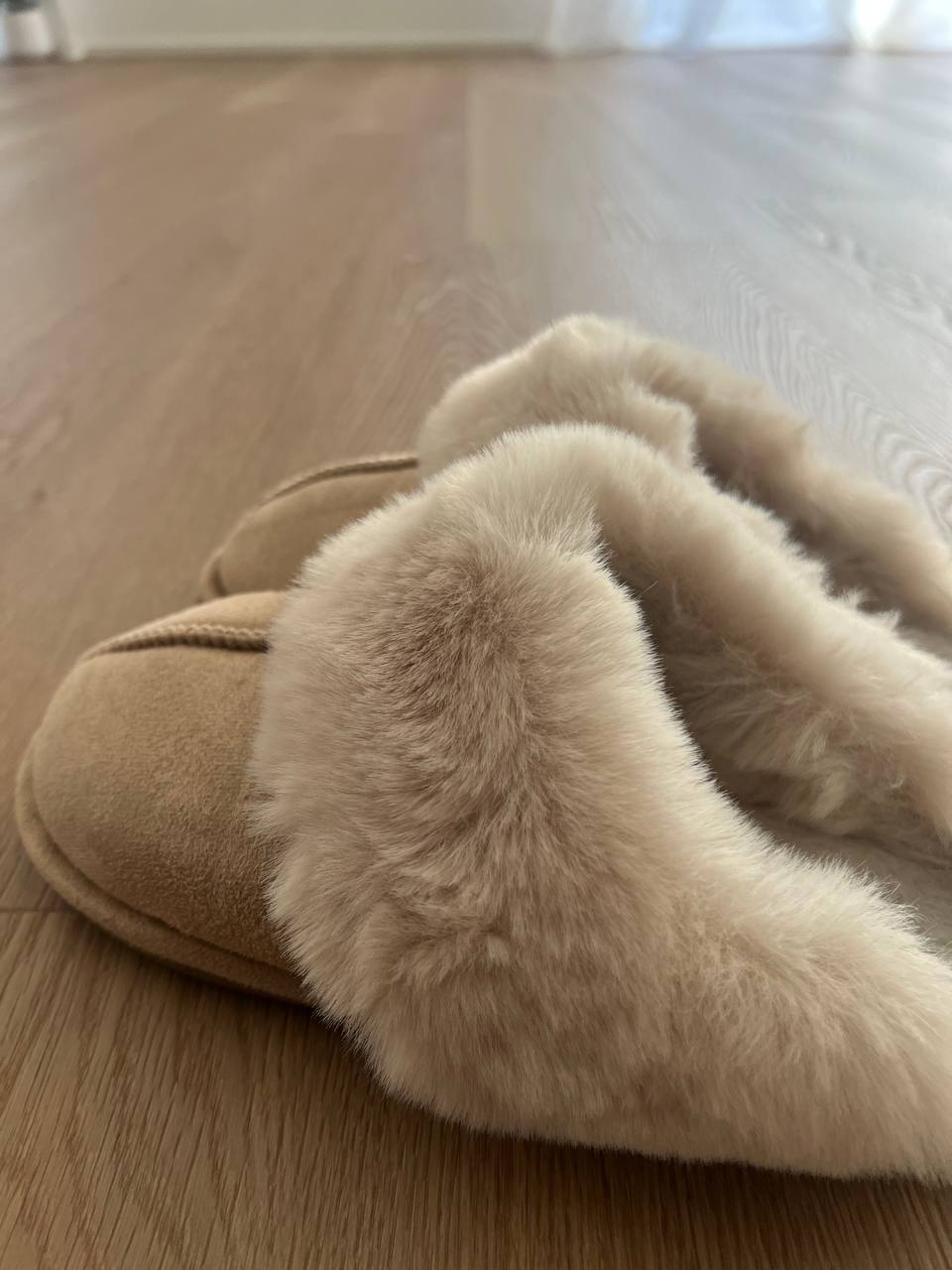 photo_2025-10-28_19-05-22