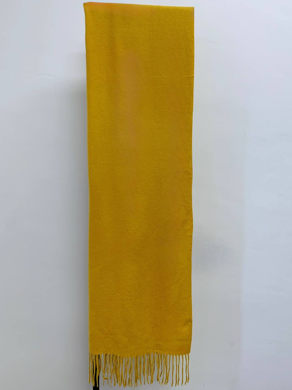 photo_2025-11-19_16-19-23