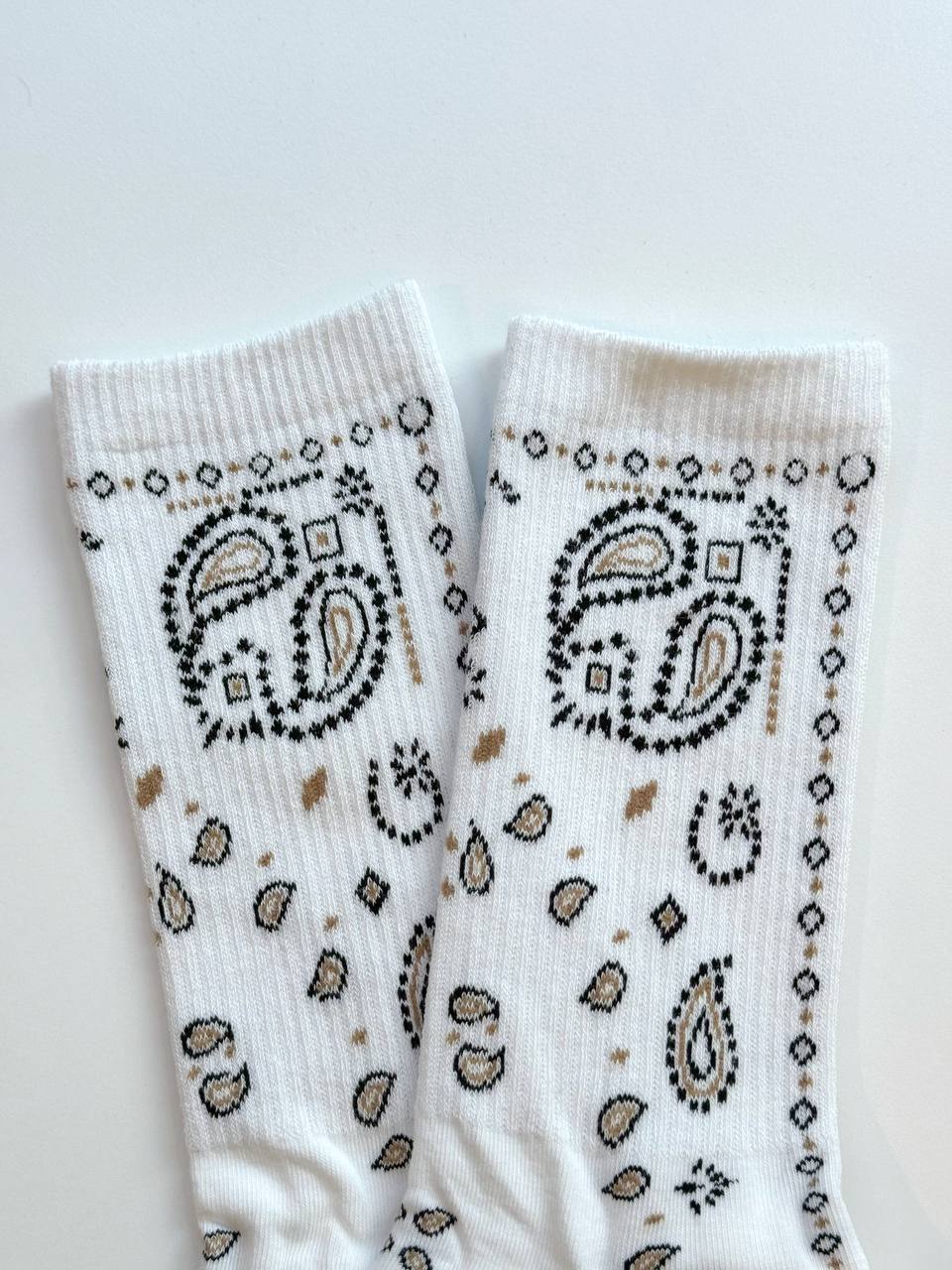 photo_2025-12-10_11-17-44