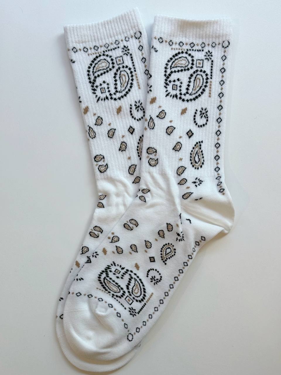 photo_2025-12-10_11-17-46