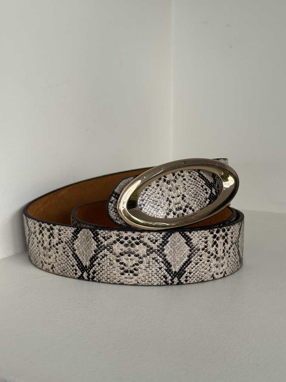 photo_2026-04-02_18-23-56